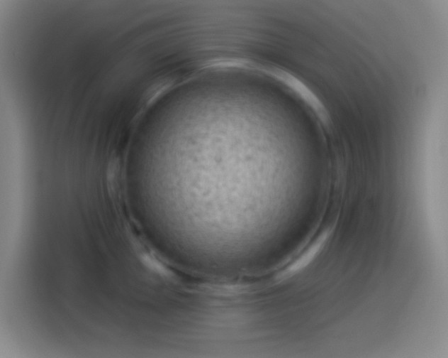 X0000113901001200910011339