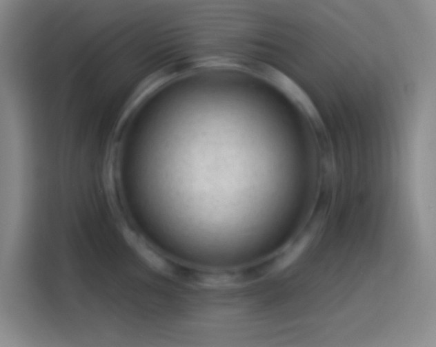 X0000113901002200910011339