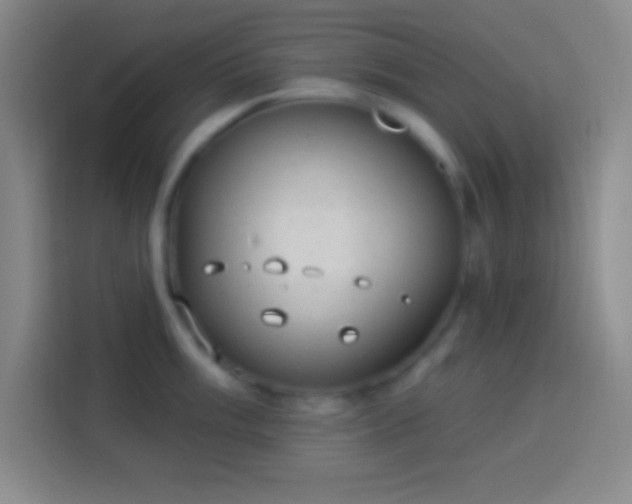 X0000113901003200910011339