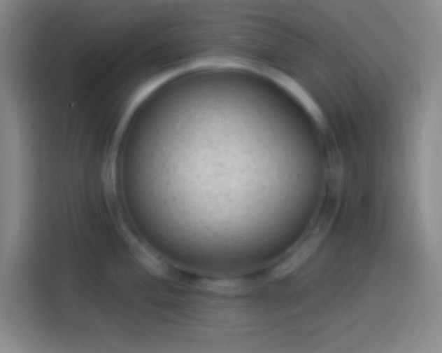 X0000113901004200910011339