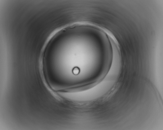 X0000113901005200910011339