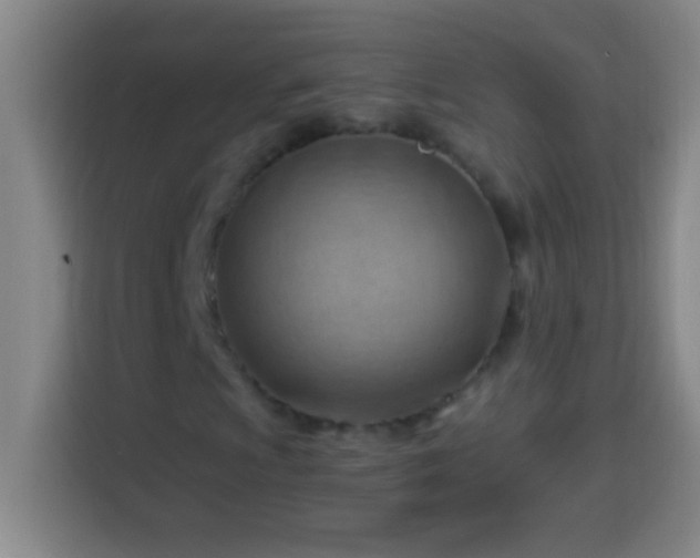 X0000113901009200910011338