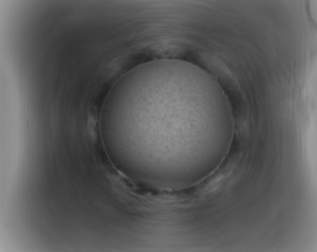 X0000113901010200910011338