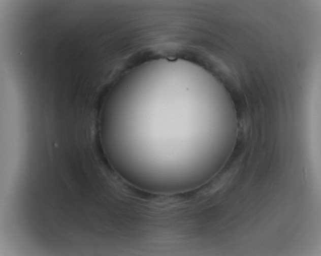 X0000113901012200910011338