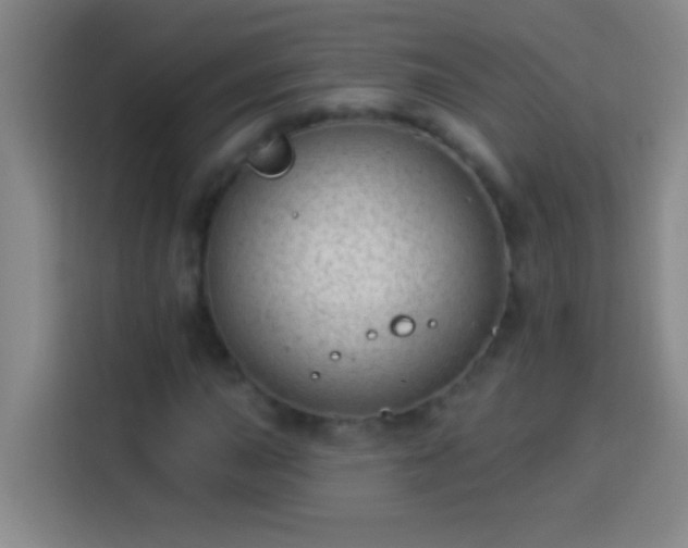 X0000113901015200910011338