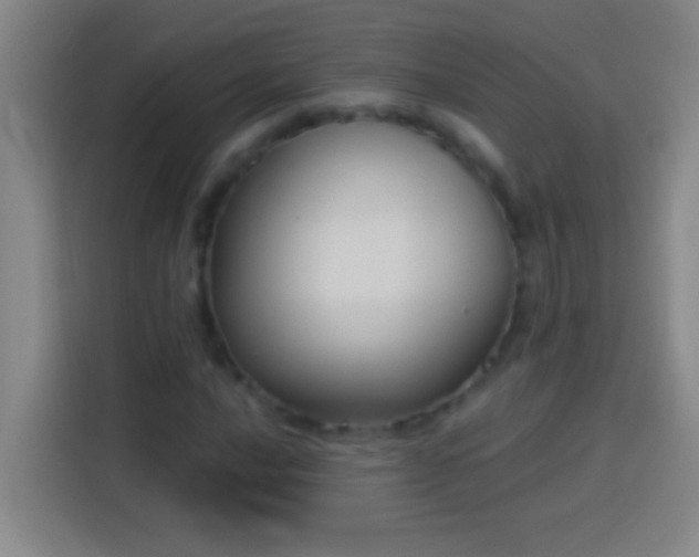 X0000113901016200910011338