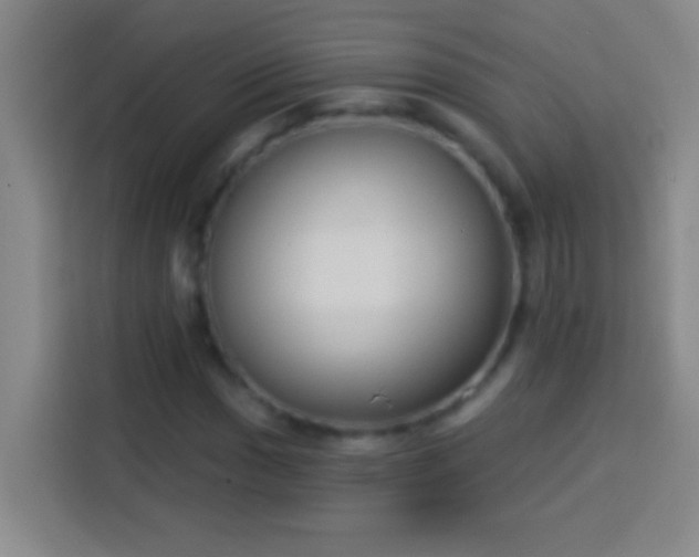 X0000113901017200910011338