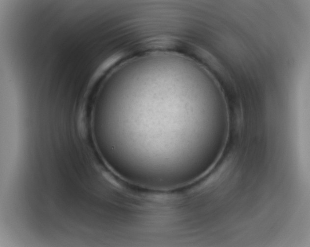 X0000113901018200910011338