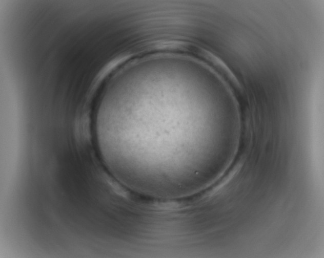 X0000113901019200910011338