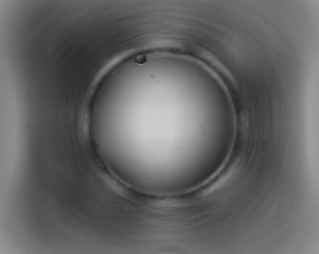 X0000113901021200910011338