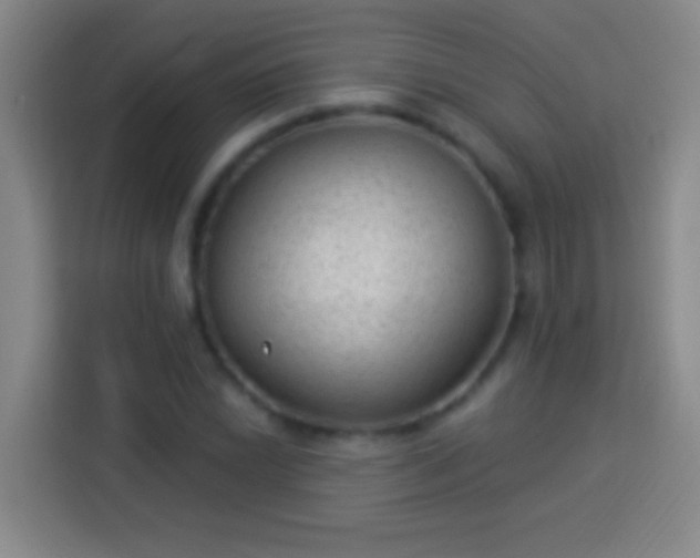 X0000113901022200910011338