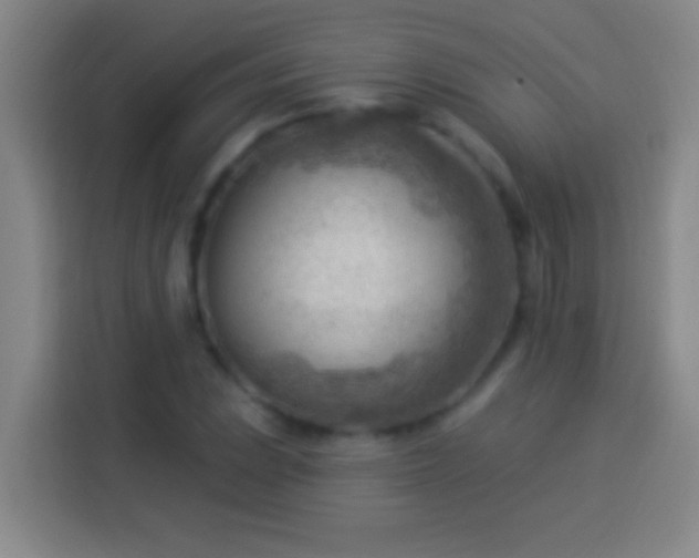 X0000113901023200910011338