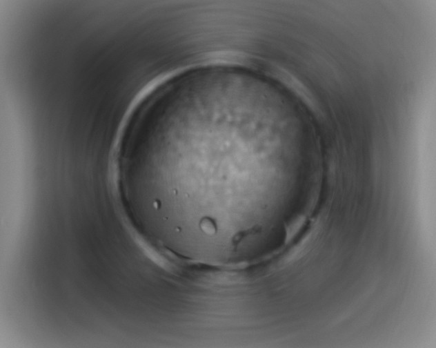 X0000113901024200910011338