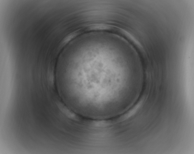 X0000113901025200910011338