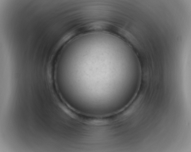 X0000113901026200910011338