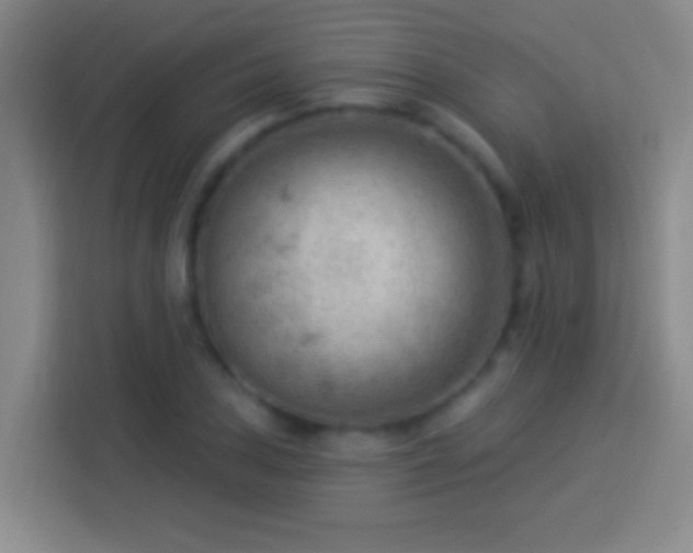 X0000113901027200910011338