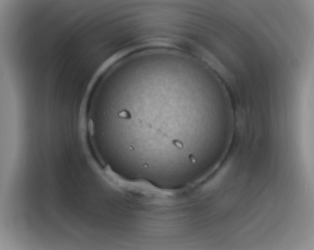 X0000113901028200910011338