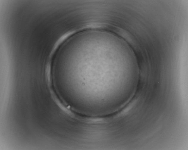 X0000113901030200910011338