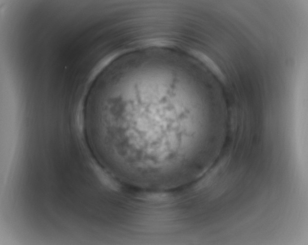 X0000113901031200910011338