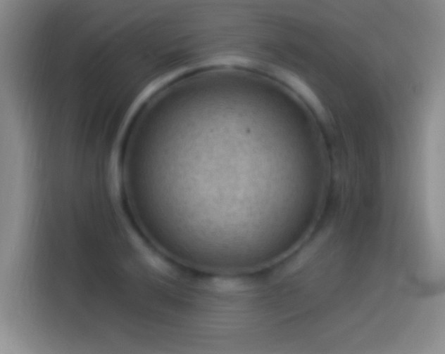 X0000113901032200910011338