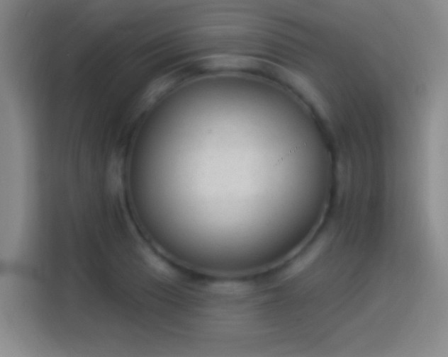 X0000113901033200910011338