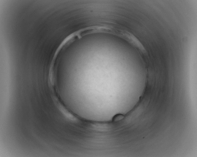 X0000113901036200910011338