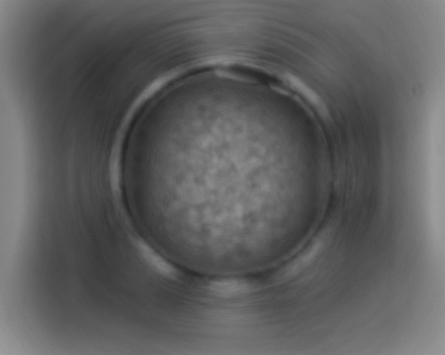 X0000113901037200910011338