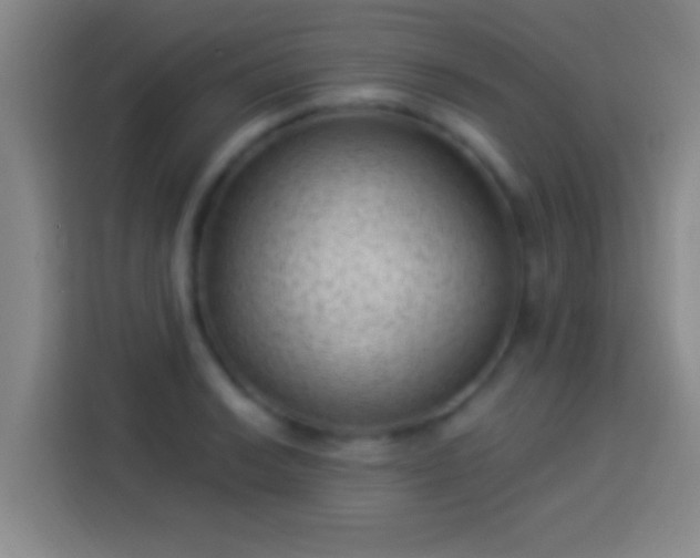 X0000113901038200910011338