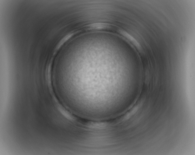 X0000113901039200910011338