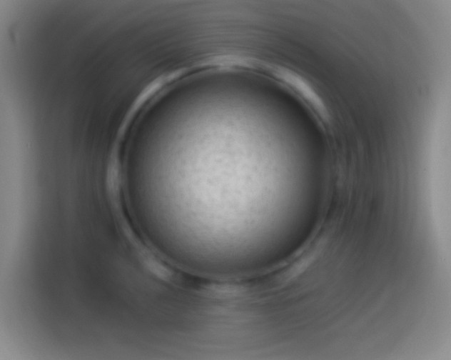 X0000113901040200910011338