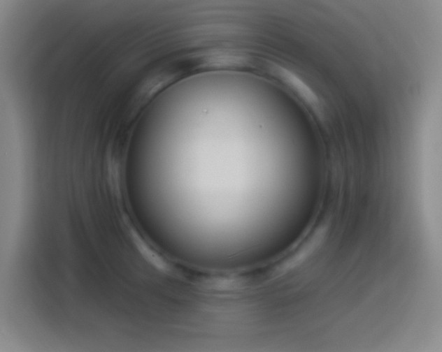 X0000113901041200910011338