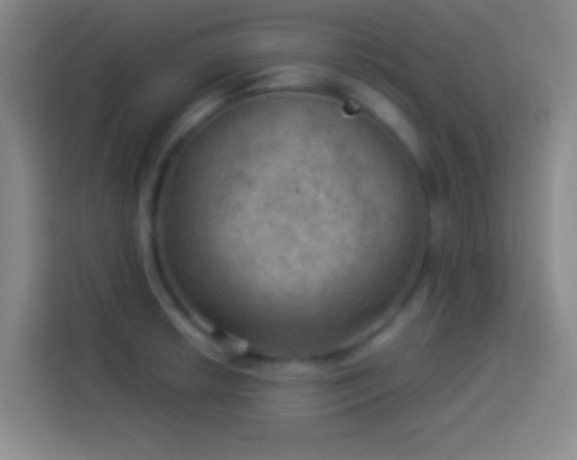 X0000113901042200910011338