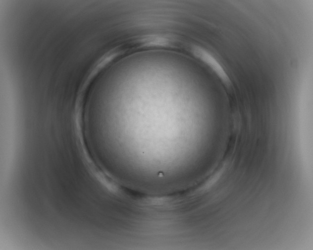 X0000113901043200910011338