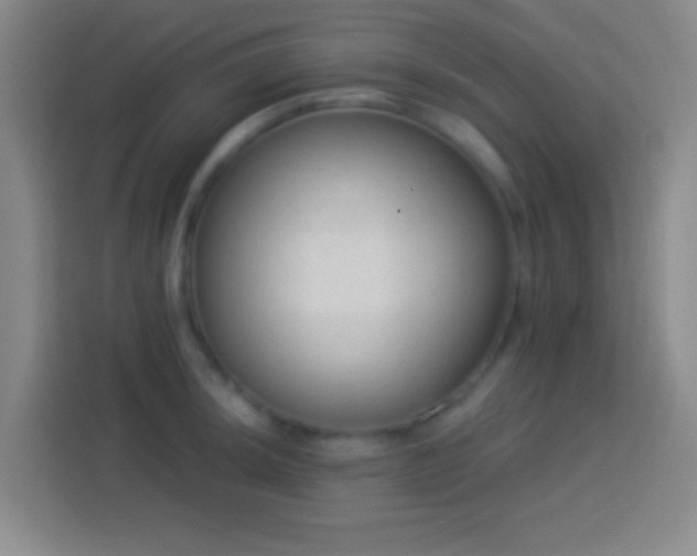 X0000113901044200910011338