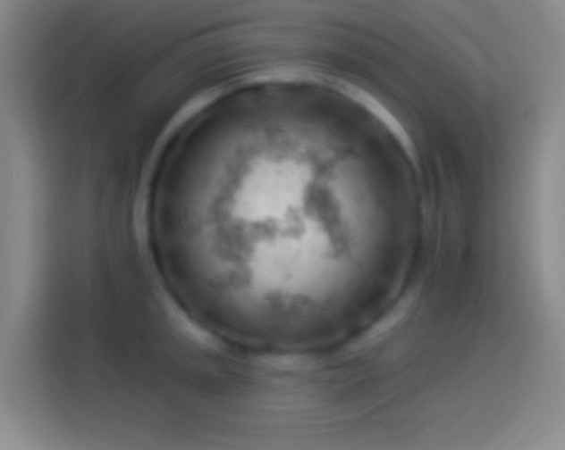 X0000113901045200910011338