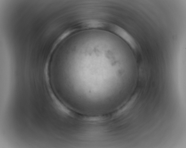 X0000113901047200910011338