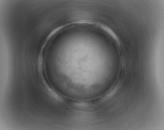 X0000113901048200910011339