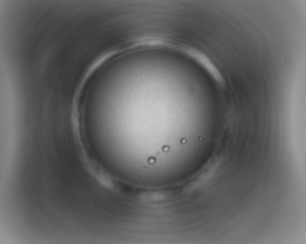 X0000113901051200910011339