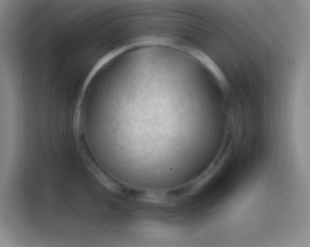 X0000113901052200910011339