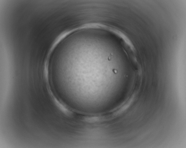 X0000113901054200910011339