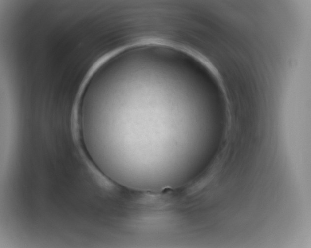 X0000113901056200910011339