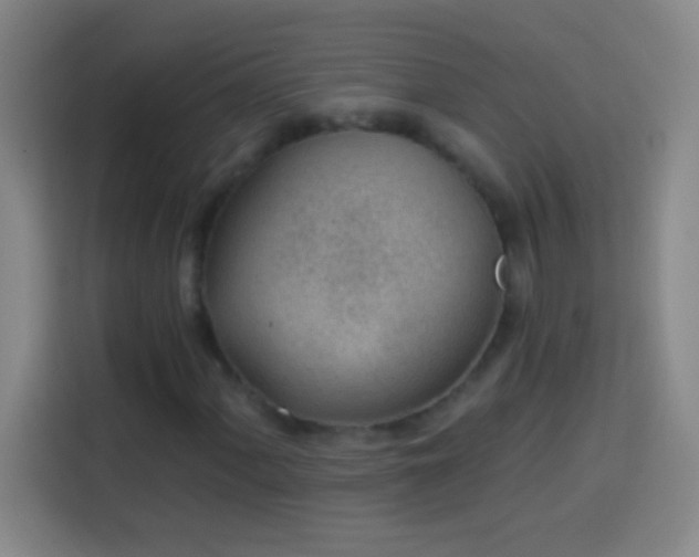 X0000113901060200910011338