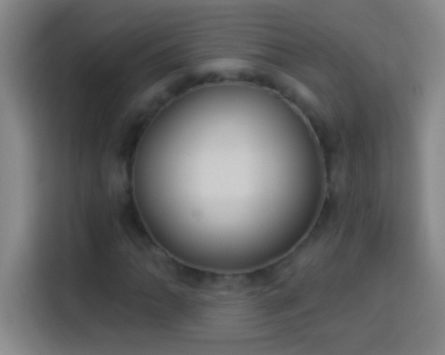 X0000113901062200910011338