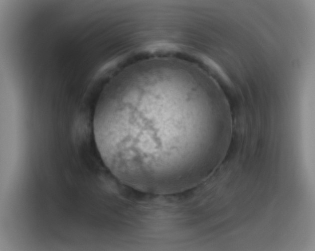 X0000113901063200910011338