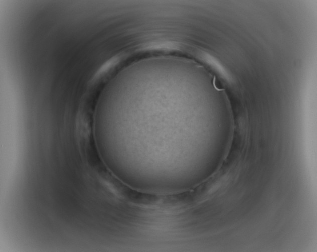 X0000113901064200910011338