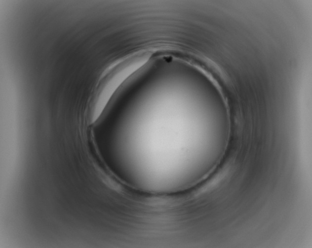 X0000113901065200910011338