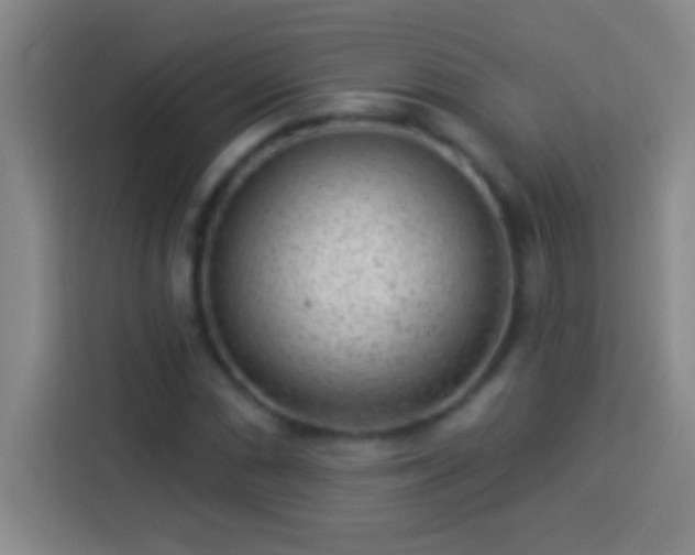 X0000113901066200910011338