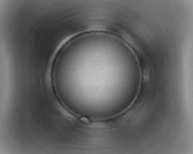 X0000113901068200910011338