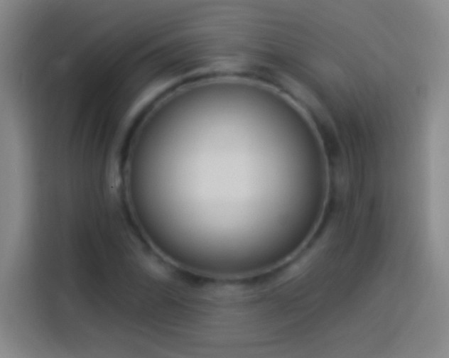 X0000113901070200910011338