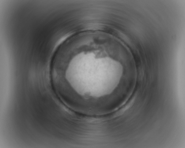 X0000113901071200910011338